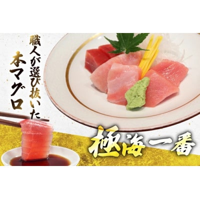 極海一番 マグロ切り身3種 2セット 計600g【エビス亭】ミシュランガイド長崎2019掲載店