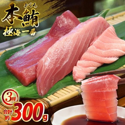 【毎月定期便】極海一番 マグロ切り身3種セット 計300gミシュランガイド長崎2019掲載店全3回
