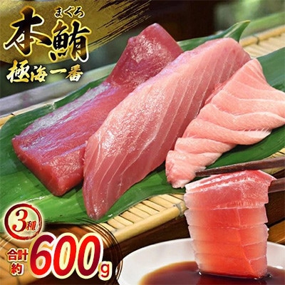 【毎月定期便】極海一番マグロ切り身3種2セット 計600g　ミシュランガイド長崎2019掲載店全6回