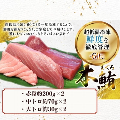 【毎月定期便】極海一番マグロ切り身3種2セット 計600g　ミシュランガイド長崎2019掲載店全6回