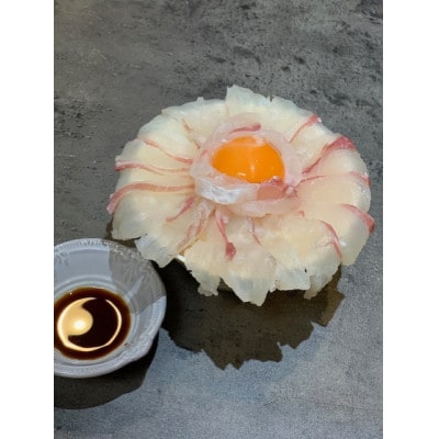 【長崎県平戸フルーツ魚】平戸なつ香タイ 1匹 約2kg