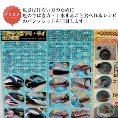 【長崎県平戸フルーツ魚】平戸なつ香タイ 1匹 約2kg