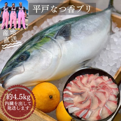 【長崎県平戸フルーツ魚】平戸なつ香ブリ約4.5kg　