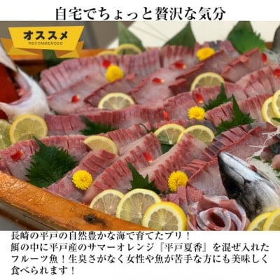 【長崎県平戸フルーツ魚】平戸なつ香ブリ約4.5kg　