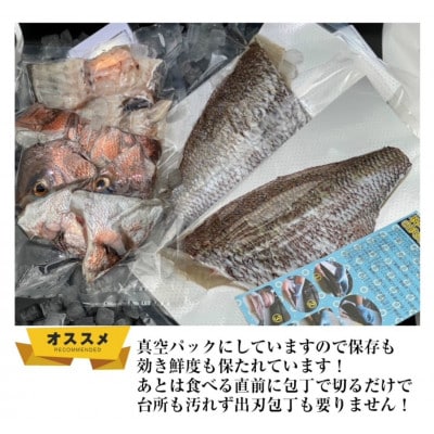 【長崎県平戸フルーツ魚】平戸なつ香タイ約2kg 三枚おろし(真空パック)あら付き
