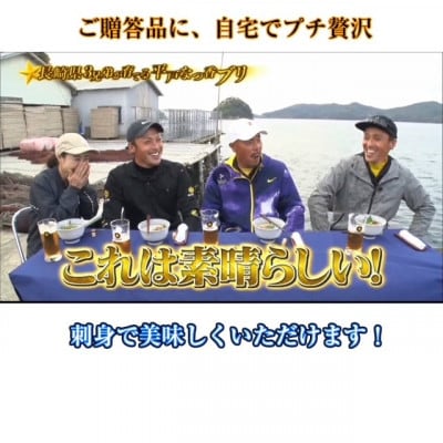 【長崎県平戸フルーツ魚】平戸なつ香ヒラス(ヒラマサ)約1kg 半身(真空パック)あら無し　