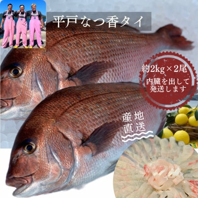 【長崎県平戸フルーツ魚】平戸なつ香タイ 1匹 約2kg×2尾