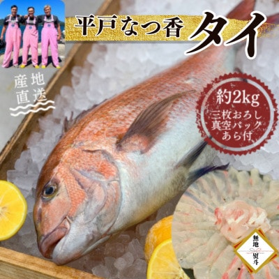 のし付き【長崎県平戸フルーツ魚】平戸なつ香タイ 約2kg 三枚おろし(真空パック)あら付き