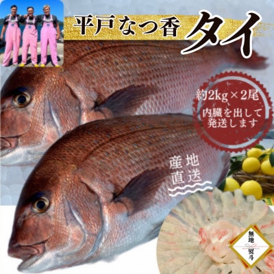 のし付き【長崎県平戸フルーツ魚】平戸なつ香タイ 約2kg×2尾