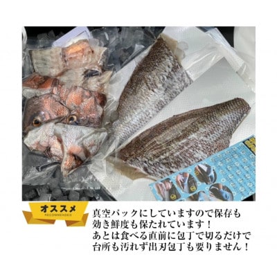 のし付き【長崎県平戸フルーツ魚】平戸なつ香タイ 約2kg×2尾 三枚おろし(真空パック)あら付き