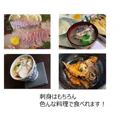 のし付き【長崎県平戸フルーツ魚】平戸なつ香タイ 約2kg×2尾 三枚おろし(真空パック)あら付き