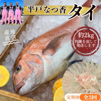 【毎月定期便】【長崎県平戸フルーツ魚】平戸なつ香タイ 1匹 約2kg全3回