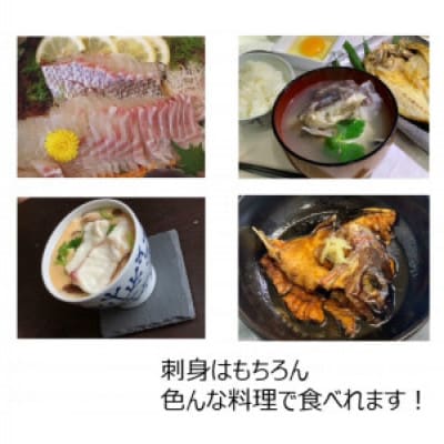 【毎月定期便】【長崎県平戸フルーツ魚】平戸なつ香タイ 1匹 約2kg全3回