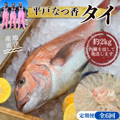 【毎月定期便】【長崎県平戸フルーツ魚】平戸なつ香タイ 1匹 約2kg全6回