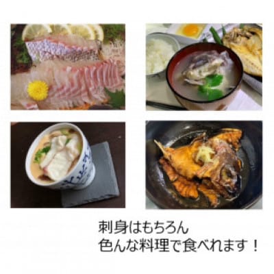 【毎月定期便】【長崎県平戸フルーツ魚】平戸なつ香タイ 1匹 約2kg全6回