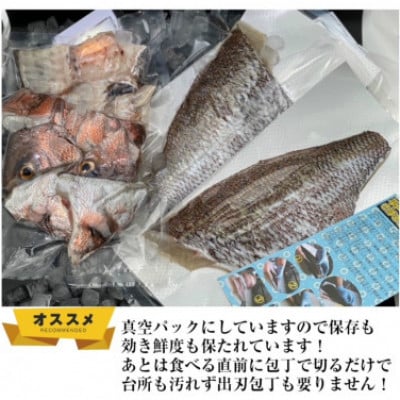 【毎月定期便】【長崎県平戸フルーツ魚】平戸なつ香タイ約2kg 三枚おろし(真空パック)あら付き全3回