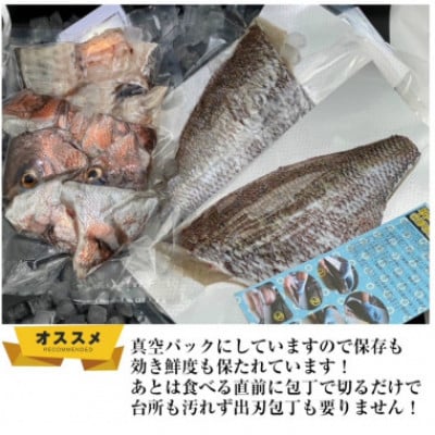 【毎月定期便】【長崎県平戸フルーツ魚】平戸なつ香タイ約2kg 三枚おろし(真空パック)あら付き全6回