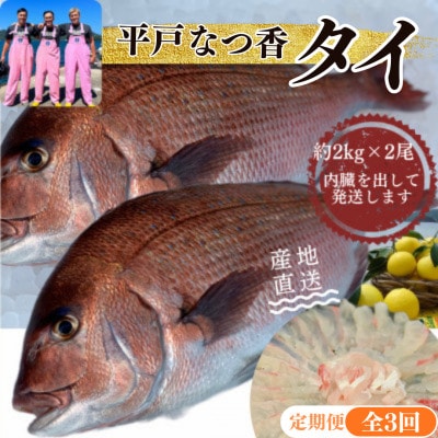 【毎月定期便】【長崎県平戸フルーツ魚】平戸なつ香タイ 1匹 約2kg×2尾全3回
