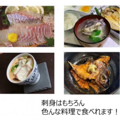 【毎月定期便】【長崎県平戸フルーツ魚】平戸なつ香タイ 1匹 約2kg×2尾全3回