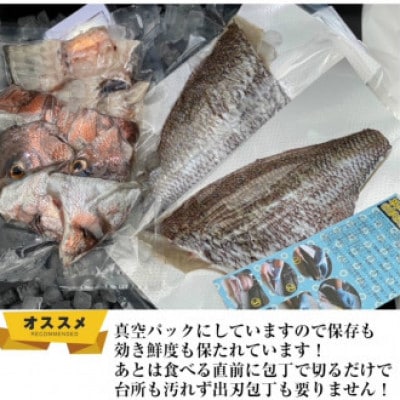 【毎月定期便】平戸なつ香タイ 約2kg×2尾 三枚おろし(真空パック)あら付き全6回