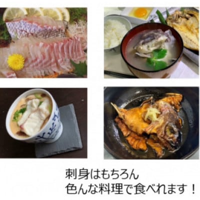 【毎月定期便】平戸なつ香タイ 約2kg×2尾 三枚おろし(真空パック)あら付き全6回