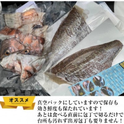 【毎月定期便】平戸なつ香タイ 約2kg×2尾 三枚おろし(真空パック)あら付き全3回