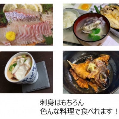 【毎月定期便】平戸なつ香タイ 約2kg×2尾 三枚おろし(真空パック)あら付き全3回