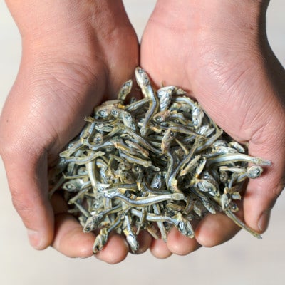 平戸の海の幸でご飯がすすむセット