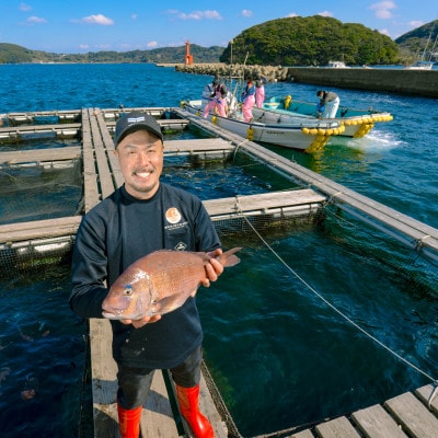 平戸なつ香鯛漬けと塩辛3種セット