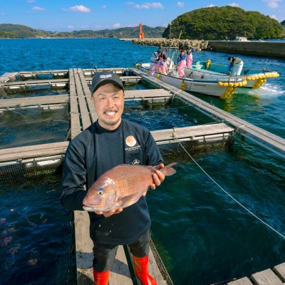 平戸なつ香鯛出汁ラーメン3食