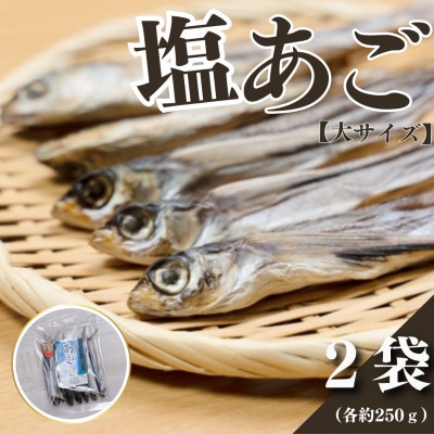 長崎県平戸産!塩あご 【大サイズ】2袋(各約250g)　
