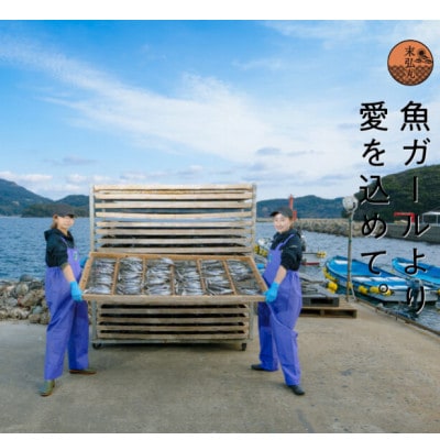 長崎県平戸産!塩あご 【大サイズ】2袋(各約250g)　