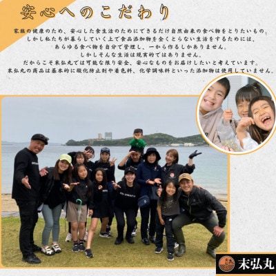 長崎県平戸産!塩あご 【大サイズ】2袋(各約250g)　