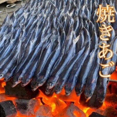 平戸特産炭火焼き　焼あご 2袋(各約180g)【第58回長崎県水産加工品評会農林水産大臣賞】