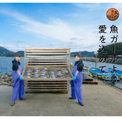 平戸なつ香鯛味噌漬け【無添加】3切(各約70g)【第59回長崎県水産加工品評会農林水産大臣賞】