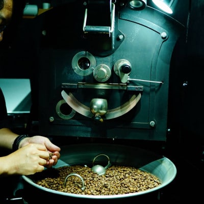 コーヒー飲み比べセット　スペシャルティブレンド&ダークローストブレンド 各250g【パウダータイプ】