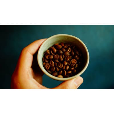 コーヒー飲み比べセット　スペシャルティブレンド&ダークローストブレンド 各250g【パウダータイプ】