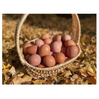 平飼い放牧卵「itadaki」6個入×4パック  計24個