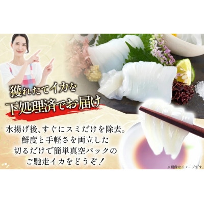 イカ 4杯 1パック(冷凍)