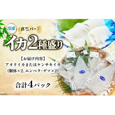 イカ 2種盛り(胴体+エンペラ・ゲソ)