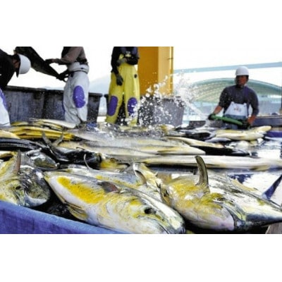 生月の特選 蒲鉾 7種セット