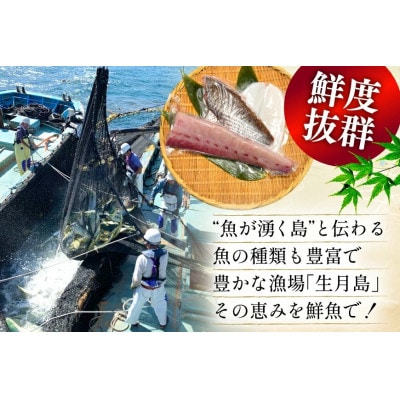 獲れたて旬魚の柵 3種セット (刺身2種& イカ 1種)(4～5人前)