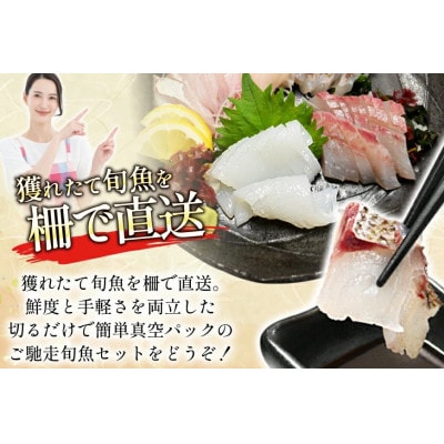 獲れたて旬魚の柵 3種セット (刺身2種& イカ 1種)(4～5人前)