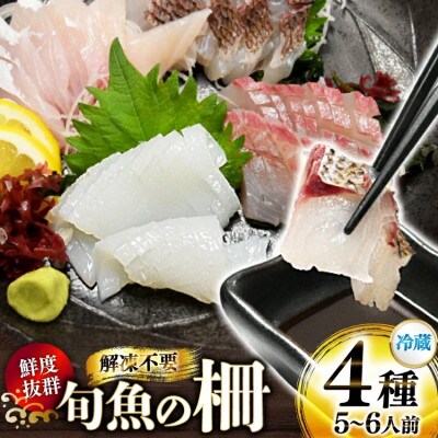 獲れたて旬魚の柵 4種セット(刺身 3種& イカ 1種)(5～6人前)