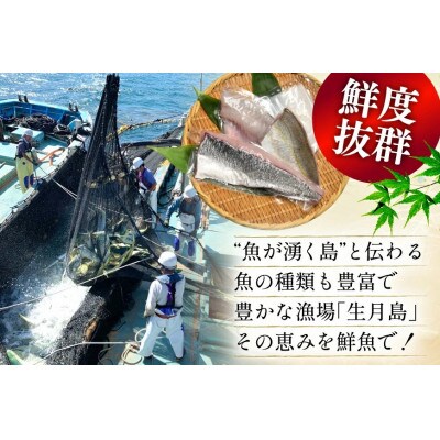 獲れたて旬魚の柵 4種セット(刺身 3種& イカ 1種)(5～6人前)