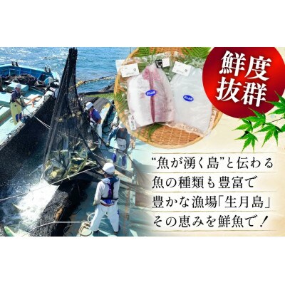 獲れたて旬魚の柵2種セット(刺身1種&イカ1種)(2～3人前)