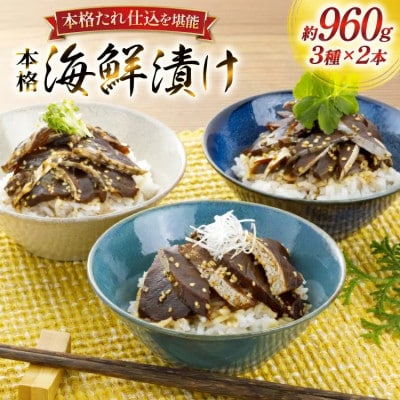【毎月定期便】本格海鮮漬けセット 約960g(160g×6本)全6回