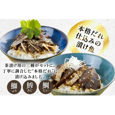 【毎月定期便】本格海鮮漬けセット 約960g(160g×6本)全6回
