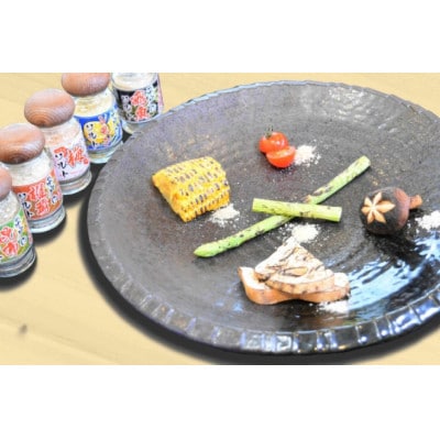 【毎月定期便】天然塩「多彩」約140g全12回