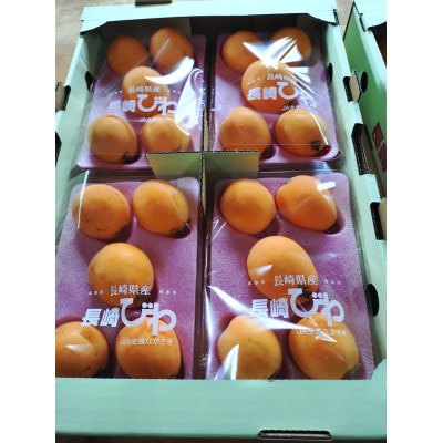 【先行受付】根獅子 びわ 250g(5～6個)×4P